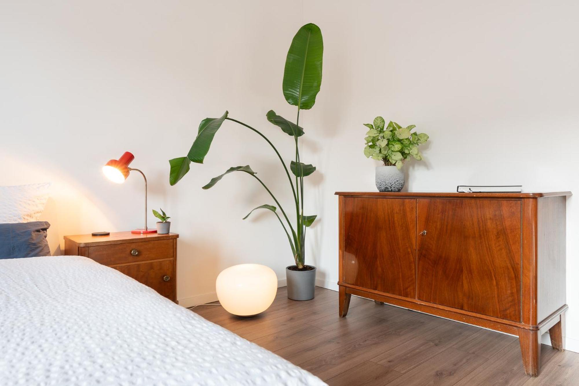 Luxurioeses Apartment, 10Min Innenstadt, Parkplatz Erfurt Kültér fotó